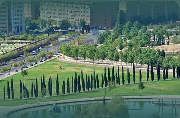 Parque de Alcorcón con estanque y arboleda
